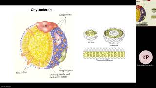 biochem 3 September BE 2567