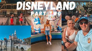 DISNEYLAND VLOG CALIFORNIA,  Fantasy Land Attractions & Electrical Parade | Day 3