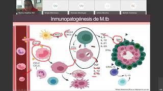 Tuberculosis Pulmonar fisiopatología, diagnostico y tuberculosis latente