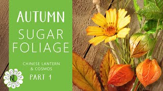 Autumn Sugar Foliage Guide | Chinese Lantern & Cosmos, Part 1