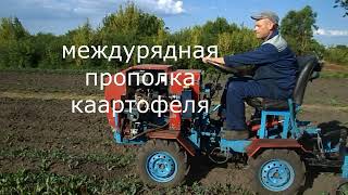 междурядная прополка картофеля 2024г