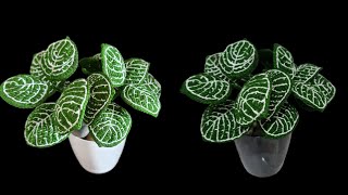 How to crochet Nerve plant/Fittonia leaves (Full video)