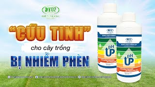 ĐẤT CHUA LÀ GÌ ? TẠI SAO ĐẤT BỊ CHUA?