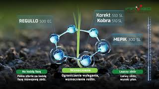 Regulatory zbożowe - regulacja pokroju zbóż