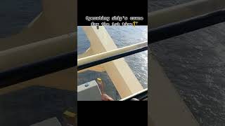 crane operating #merchantnavy #ship #containership #crane #youtubeshorts #viralvideo #trending