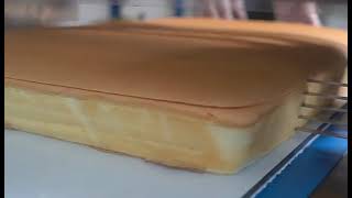 Muli layer cake cutting machine with pressure on top, can cut whole tray big cake into multi-layer