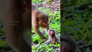 Very cute moment of mother making very cute mouth and taking with baby when she teaching how to run