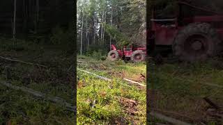 Timber jack skidder #skidder #detroitdiesel #logging #timberjack