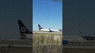 Star alliance livery, United airlines Boeing 737 at ORD #ohareairport #unitedairlines #boeing #737