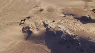 Planet Earth 05 Deserts Part 16