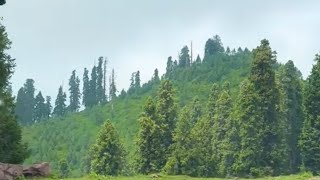 Kashmir | top Kashmir palaces | Famous places | top trending YouTube channel | All Pakistani channel