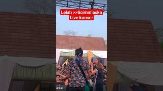 Lelah-scimmiaska Live konser