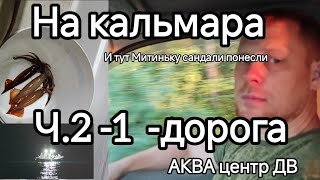 На кальмара Ч.2 -1 Дорога. ДИАЛОГ о АКВА ЦЕНТР ДВ ВЛАДИВОСТОК 89240000033