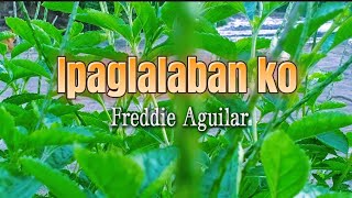 Ipaglalaban ko - Freddie Aguilar / Lyrics