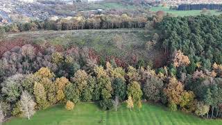 Lickey hills 1year after the fire 🔥