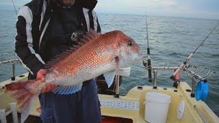 Monster Snapper Fishing Australia Huge Red FIsh Caught  95cm