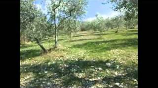 Poggio Moiano: Il rifugio del cacciatore....con un panorama memorabile!!