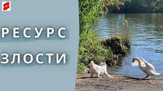 РЕСУРС ЗЛОСТИ