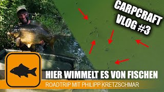 Unfassbare Aufnahmen beim Karpfenangeln 😱 Carpcraft VLOG #3