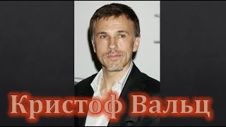 Hollywood Star. Кристоф Вальц (2022)