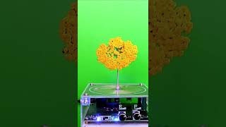 Tesla Coil Music vs a Yellow Flower #teslacoil #plasma #shorts