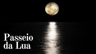 Passeio da Lua - Professor Perninha - Abadá-Capoeira