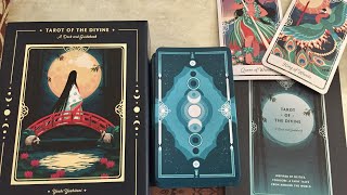 Tarot of the Divine flip through