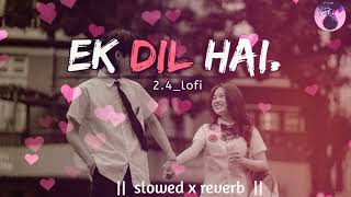 🎧Ek Dil❣️Hein Mera Dil❤️hi Toh Hein 🥰 Slow Reverb LOFI SONG 💞🎧