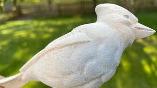 Bird Woodcarving - Belly Feather Layout