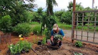 Planting a cutting garden.