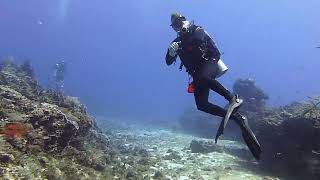 Diving in Cozumel, March 2022