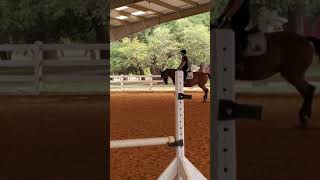 Lauren and Gwen flat work 7-29-2020