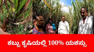 ಕಬ್ಬು ಕೃಷಿಯಲ್ಲಿ 100% ಯಶಸ್ಸು organic Sugarcane farming