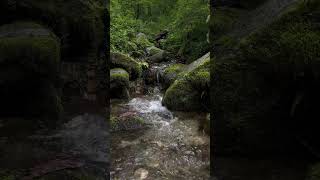 Healing sound of nature 💧 #meroamingaround #nature #himalayas