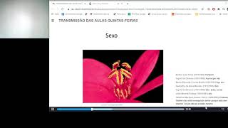 Aula de Morfologia Externa Flores, frutos e sementes