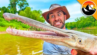 Catching a RARE Crocodile Gar!