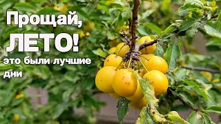 Челлендж "ДО СВИДАНИЯ, ЛЕТО!!! Продолжение...АВГУСТ... /болталка/