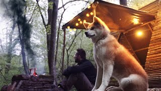 Building a hazel Cabin in the Wilderness with my Dog. Cook food on a Stone grill