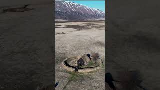 Turf houses are a type of construction used in Iceland to combat the harsh weather. #abandoned