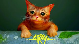 NEW JOURNEY BEGINS! ONLY ONE CAT ALIVE IN THE WORLD😱 STRAY | #01