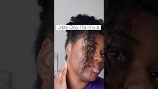 Lazy Day style for Natural Hair #naturalhairjourney #protectivestyles #naturalhair #type4hair