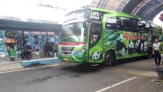 Departure -  Bis Restu Panda N 7031 UH a.k.a Mayang Seto di Terminal Pandaan