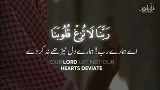 Surah Aal E Imran Verse 8-9 || Quran Recitation || Quran Whatsap Status || Quran Urdu