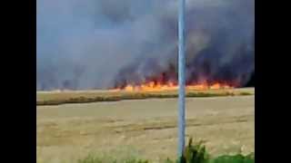 Feldbrand Nähe Löberitz