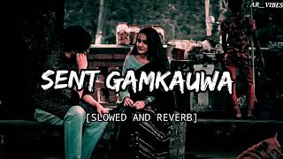 Sent Gamkauwa Raja Ji - lofi mix (Slowed and reverb) ||Shiwani singh ||Bhojpuri trending lofi song