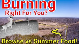 Is Burning right For You and your Whitetail Habitat?