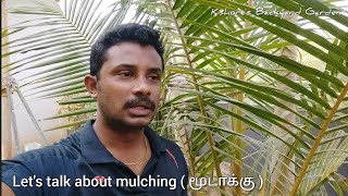 What is mulching (மூடாக்கு) ? Why it is crucial for plants during summer..