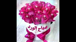 🌹🍁🌹 صباح الخير والأمل 🌹🍁🌹