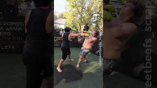 Brutal Heavyweight MMA Fight Highlights