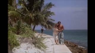 Twin-Scene. Miami vice